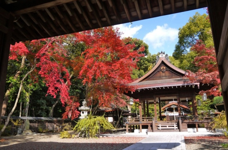 梨木神社の紅葉