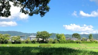 京の雑学