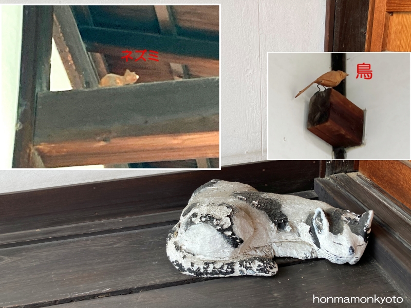 金剛寺　猫の木彫　鳥とネズミ