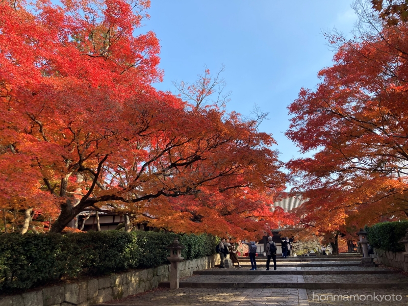 本堂までの道の紅葉