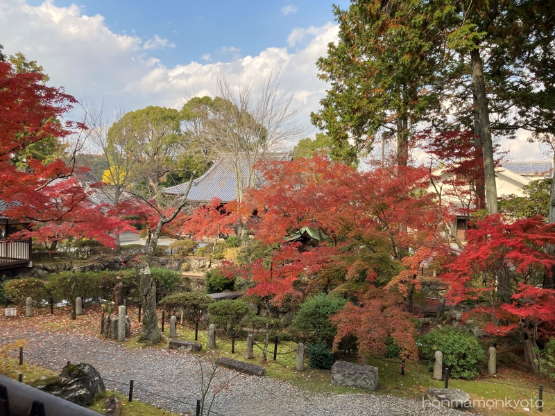真如堂　本堂から出たところの紅葉２