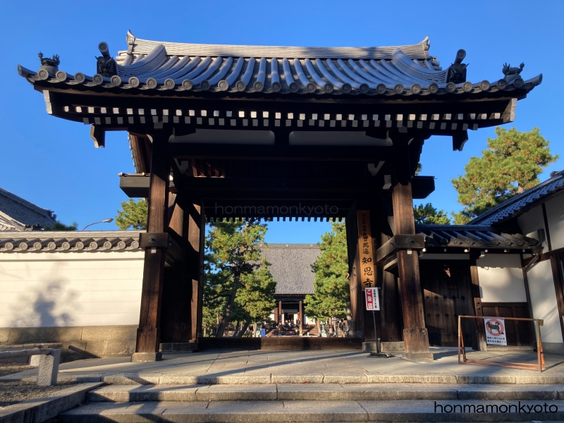 知恩寺　今出川総門