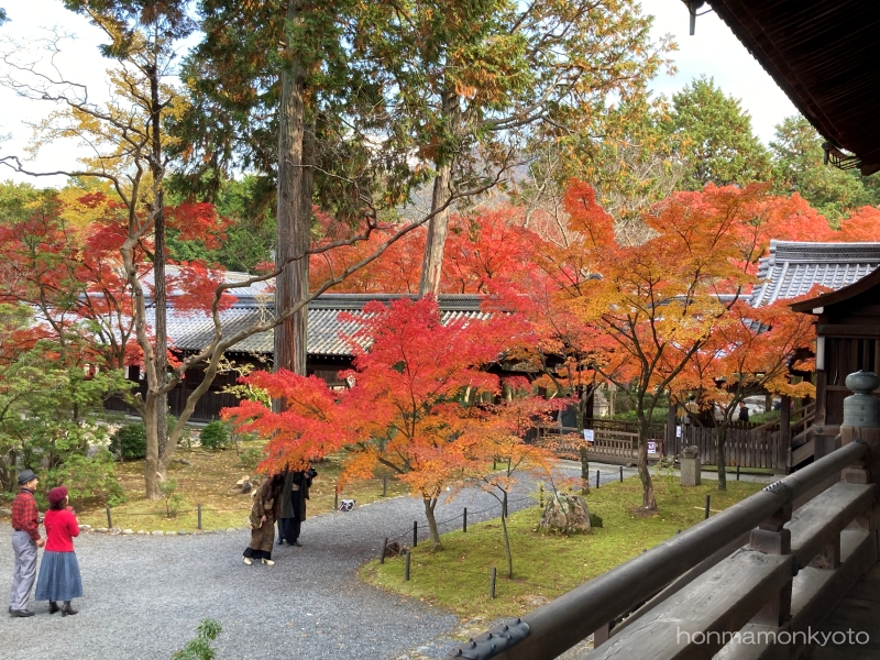 真如堂　本堂から出たところの紅葉１
