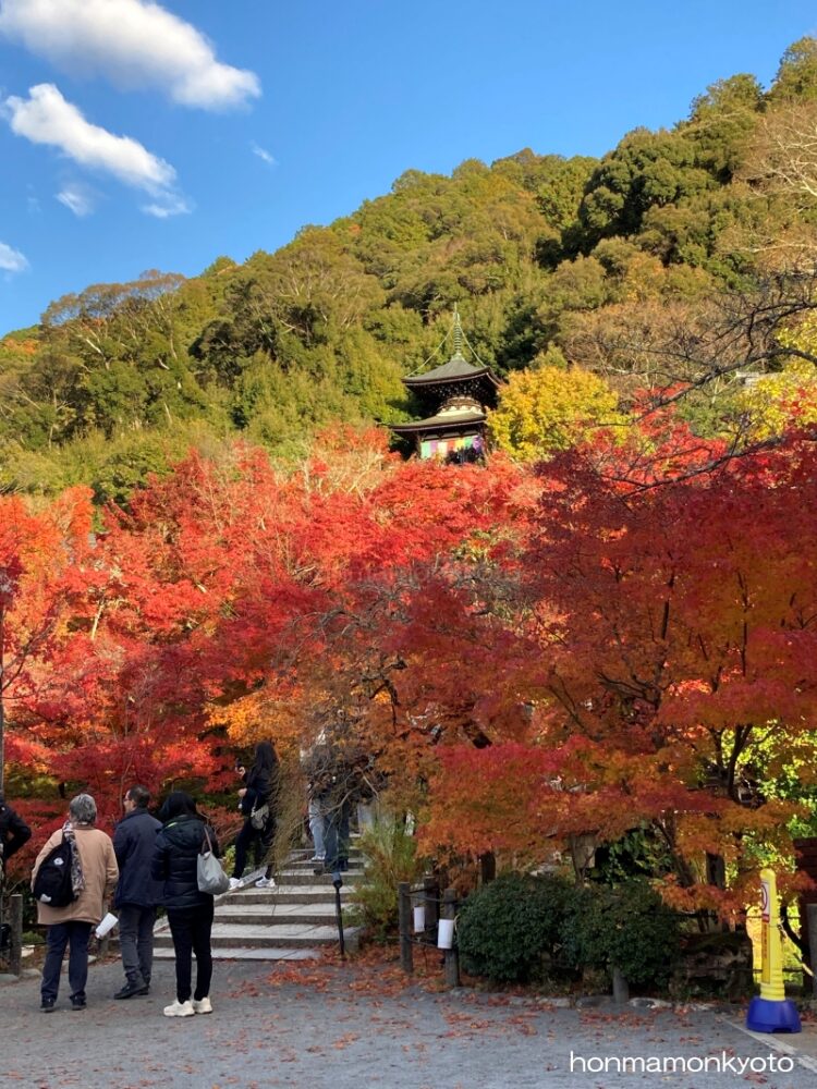 少し降りて多宝塔