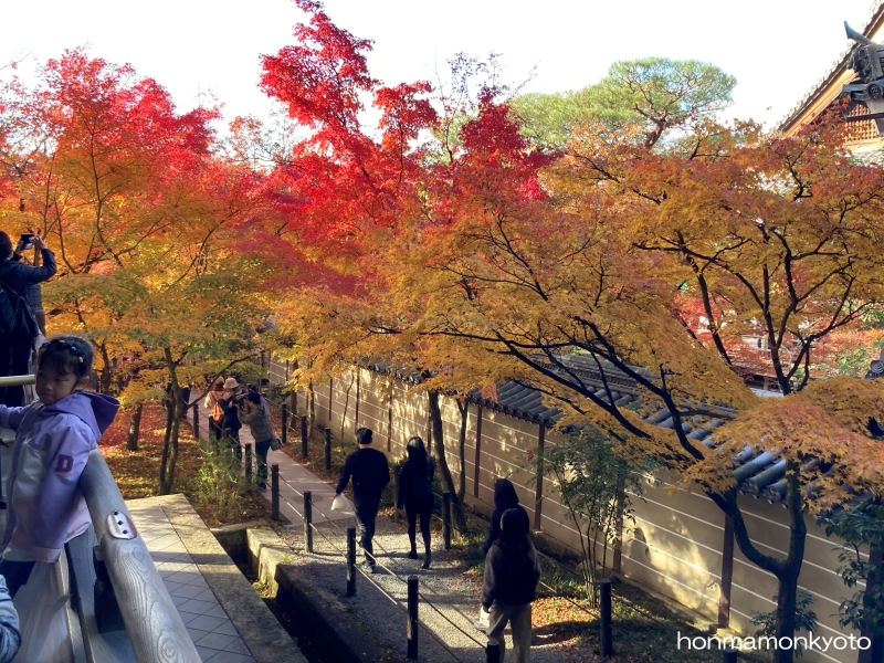 御影堂横の紅葉１