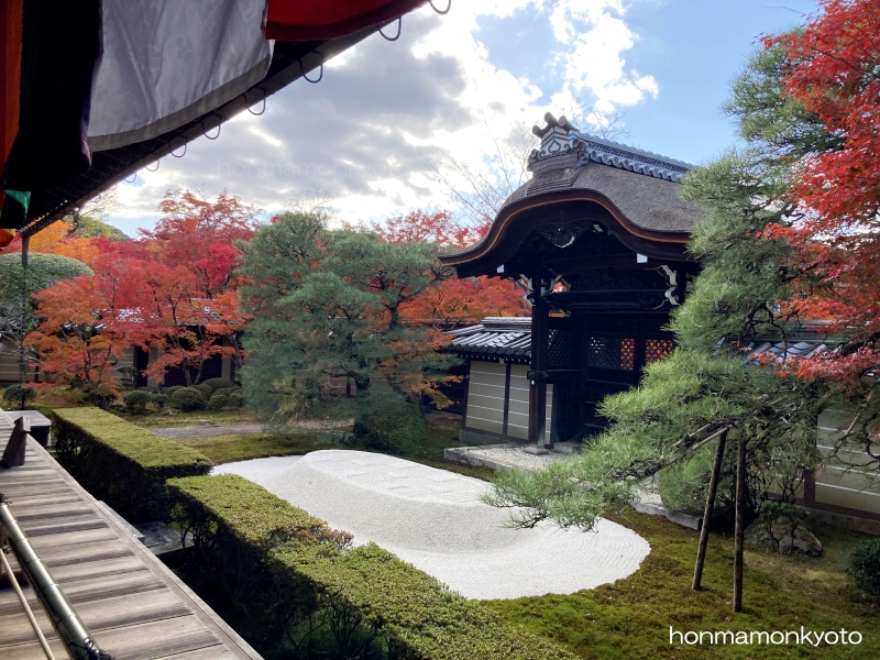 釈迦堂前の庭