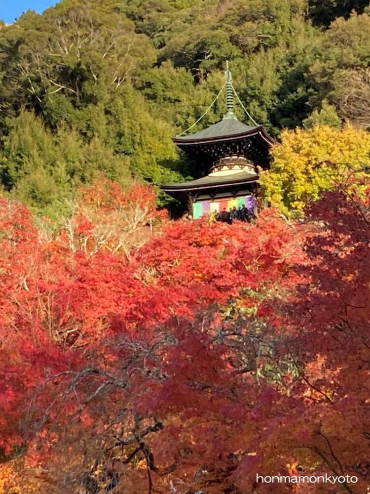 多宝塔アップ