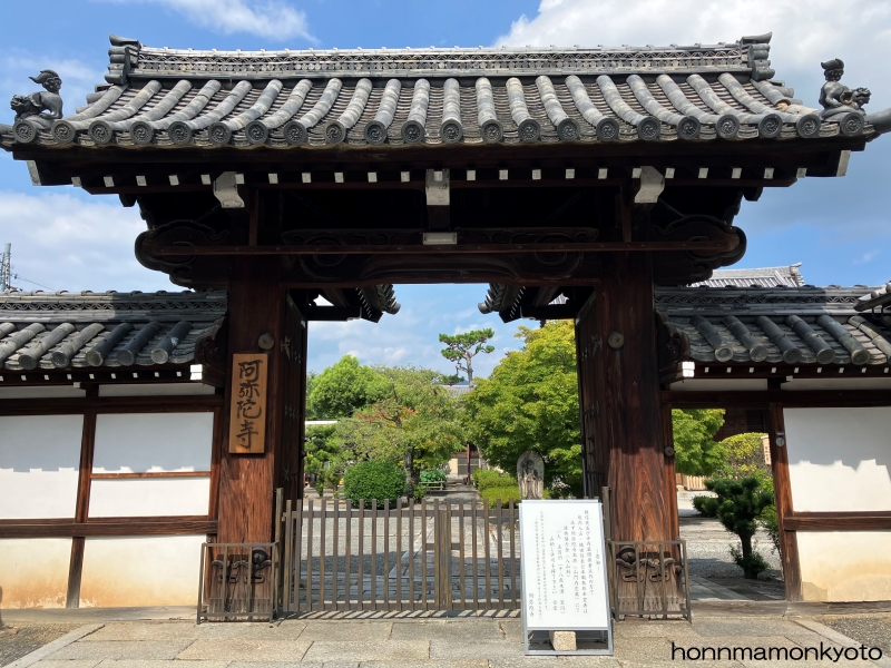 2025年8月5日阿弥陀寺
