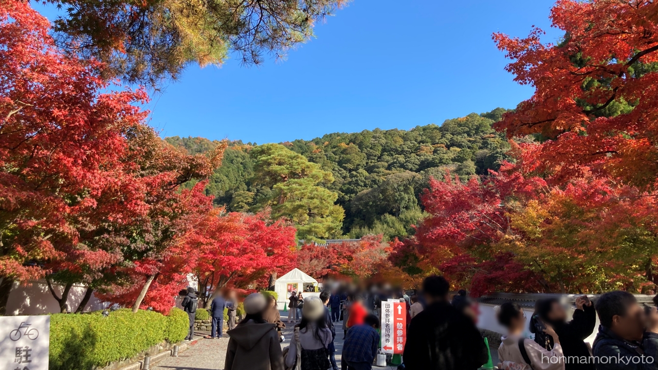 紅葉を見るなら一度は永観堂へ行くべし！　アイキャッチ画像